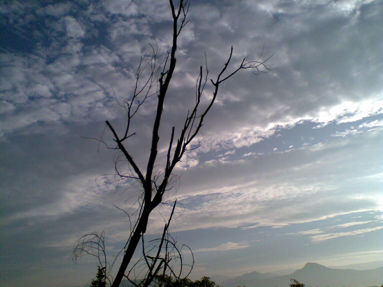 Lonely in the sky - The Sahiyadris