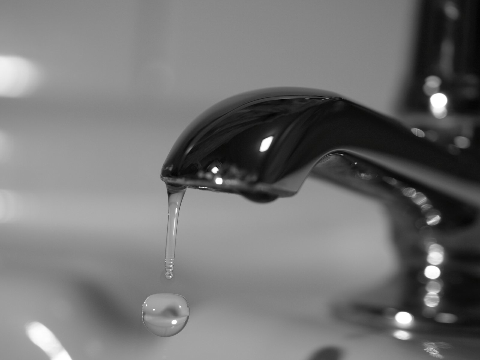Leaking taps can waste a minimum of 50 liters of water in a day!